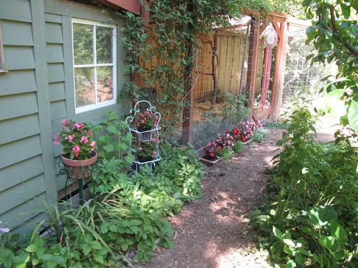Potting shed/chicken coop and pen