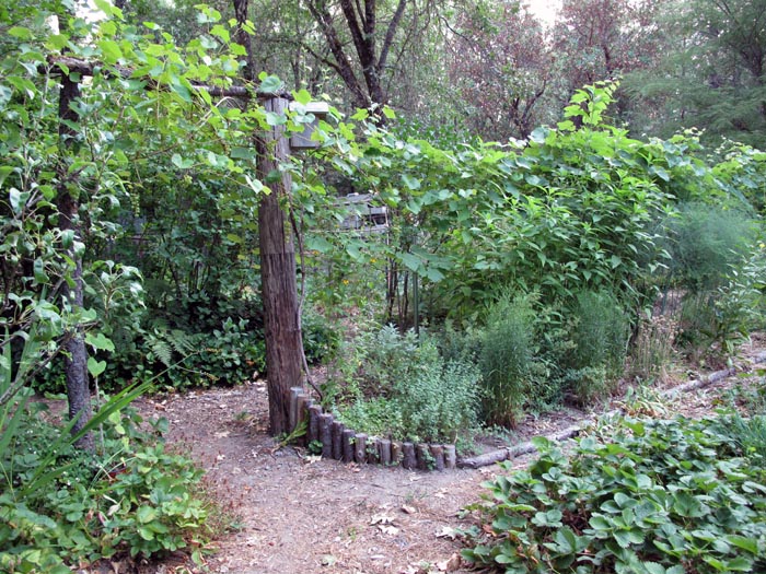 Grapes, Asparagus, etc...