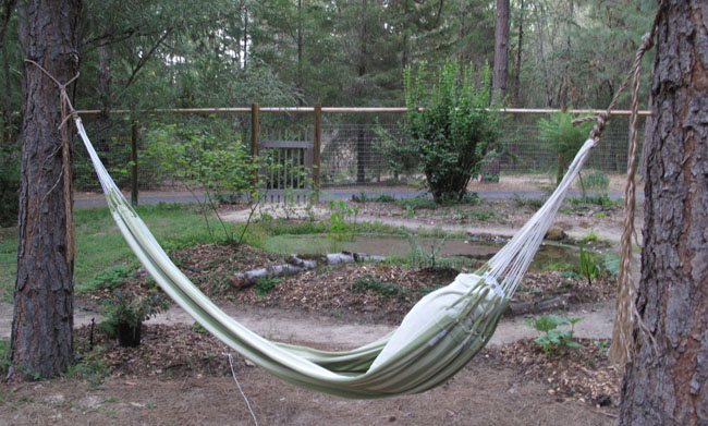 hammock