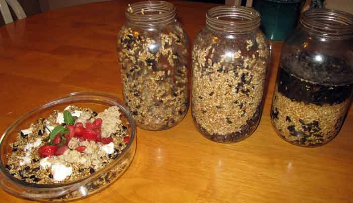 Sprouting Chicken food