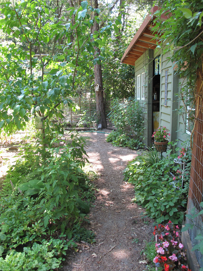 potting shed and lots of edibles