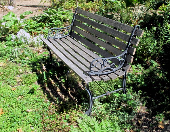 bench in Zen garden