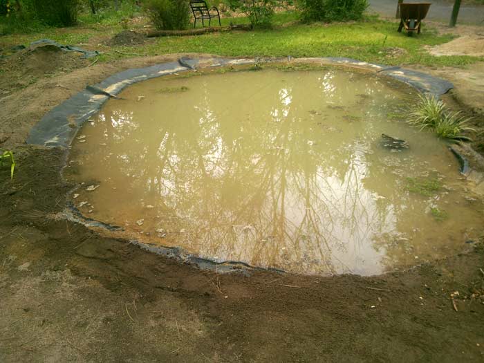 Working our way around the edge - finishing the four bogs first.