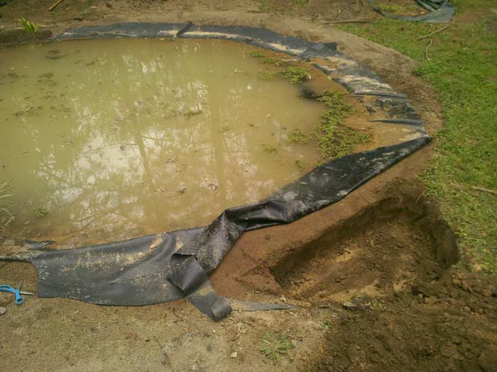 Hole dug next to pond to create a bog planting. We did four of these around the pond.