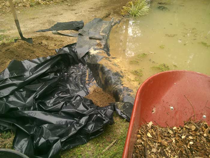 Lining the bog hole with 4 mil plastic