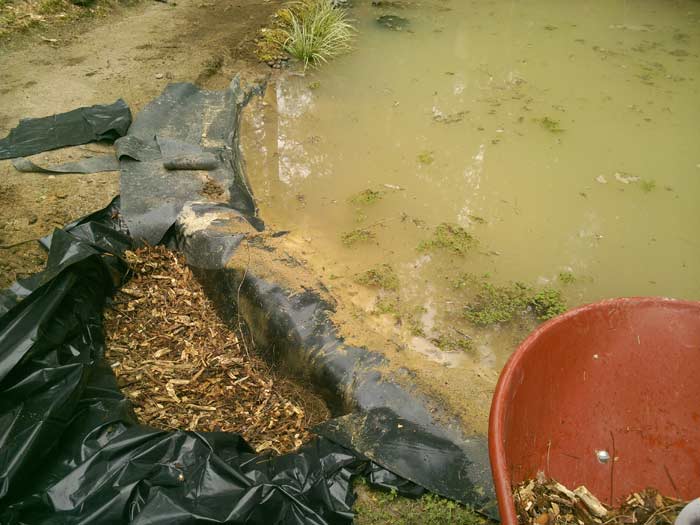 Adding wood chips on the bottom of the lined bog planting hole