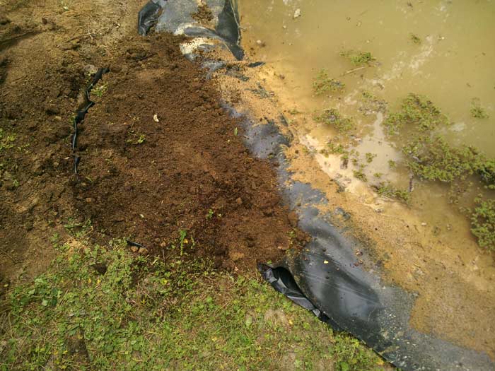 Final step in creating a bog next to the garden - adding the topsoil
