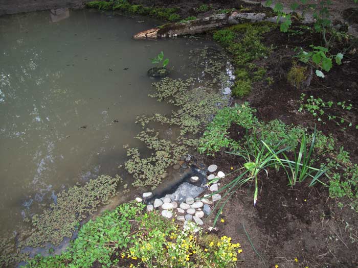 Pond overflow area in progress