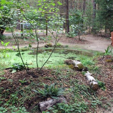 Frog pond, hugel mound and chairs.