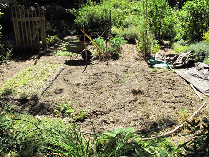 Laying out the new rain garden shape
