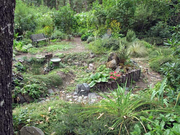 Rain garden, Zen garden and bench