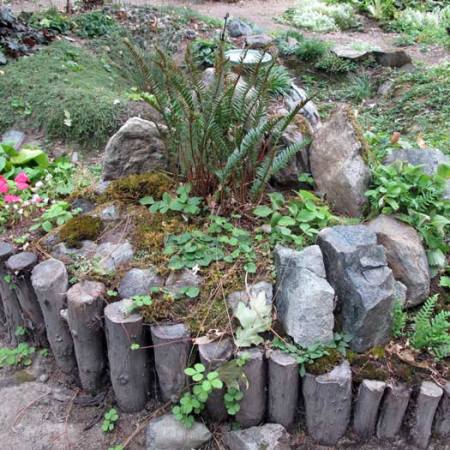 Rain Garden - madrone retaining wall