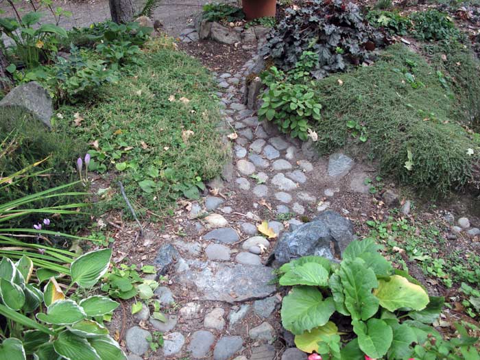 Inflow into the Rain Garden