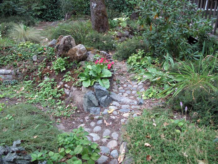 Rain Garden Over-flow