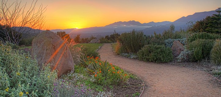 meditationmountsunset