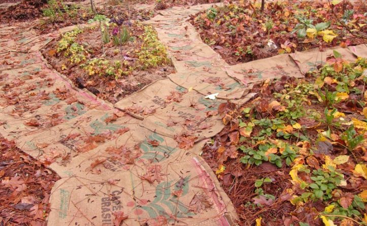 Fall2017OrchardWithBurlap